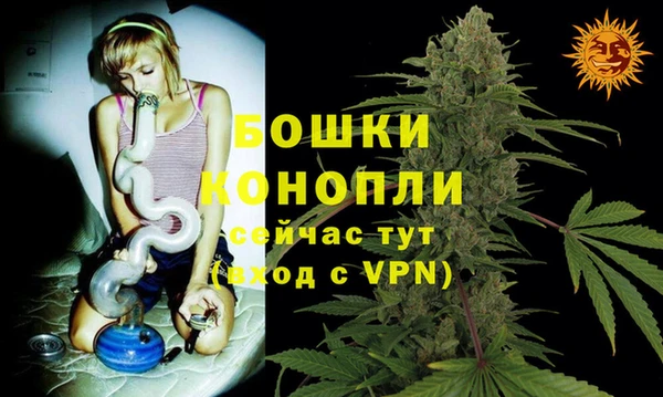 молекула духа Покровск