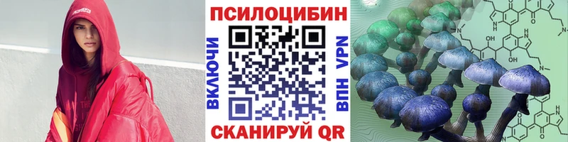 цена наркотик  hydra как войти  Галлюциногенные грибы прущие грибы  Кашира 
