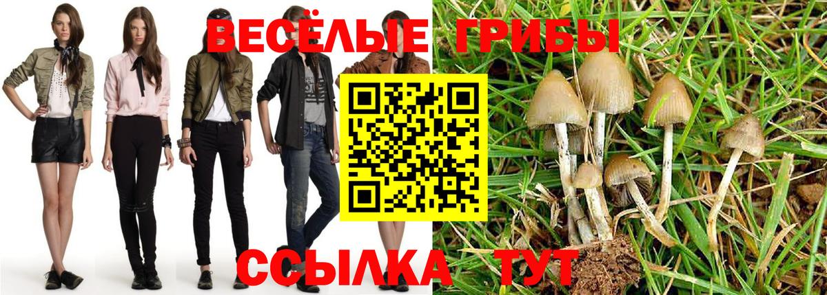 Кашира  Галлюциногенные грибы Psilocybe  где продают   Вход с VPN 
